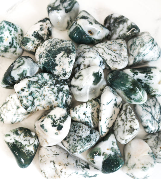Tree Agate Tumblestones
