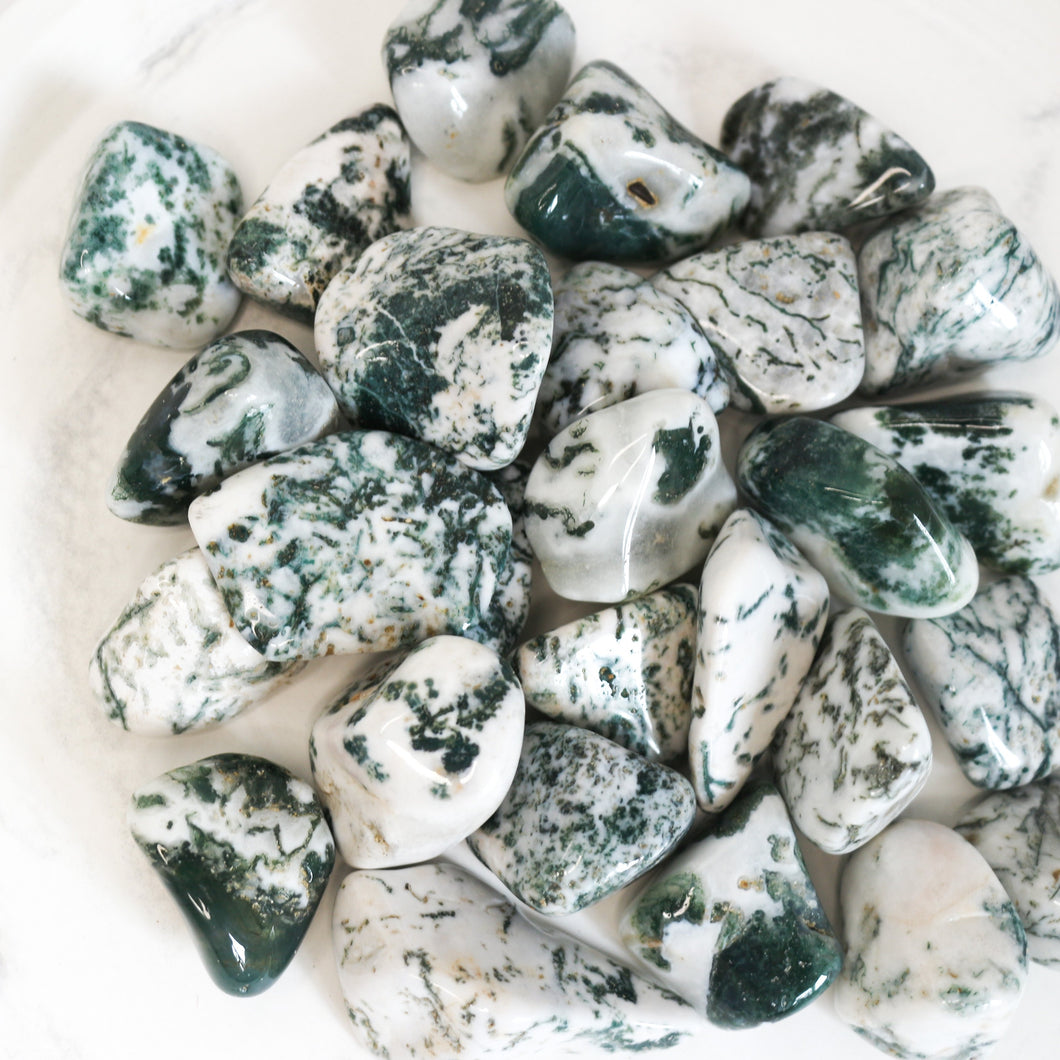 Tree Agate Tumblestones